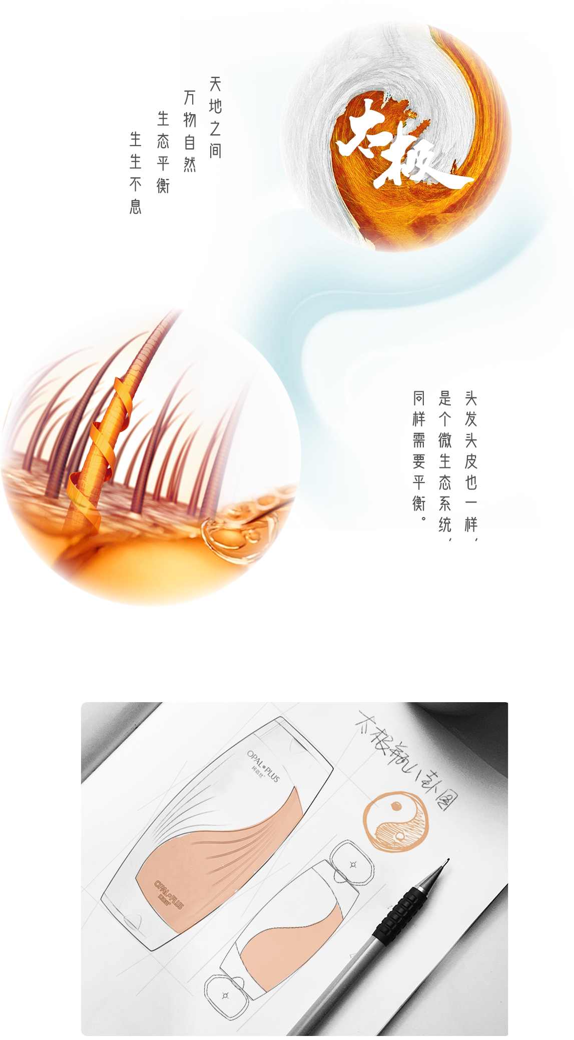 太極瓶八卦圖